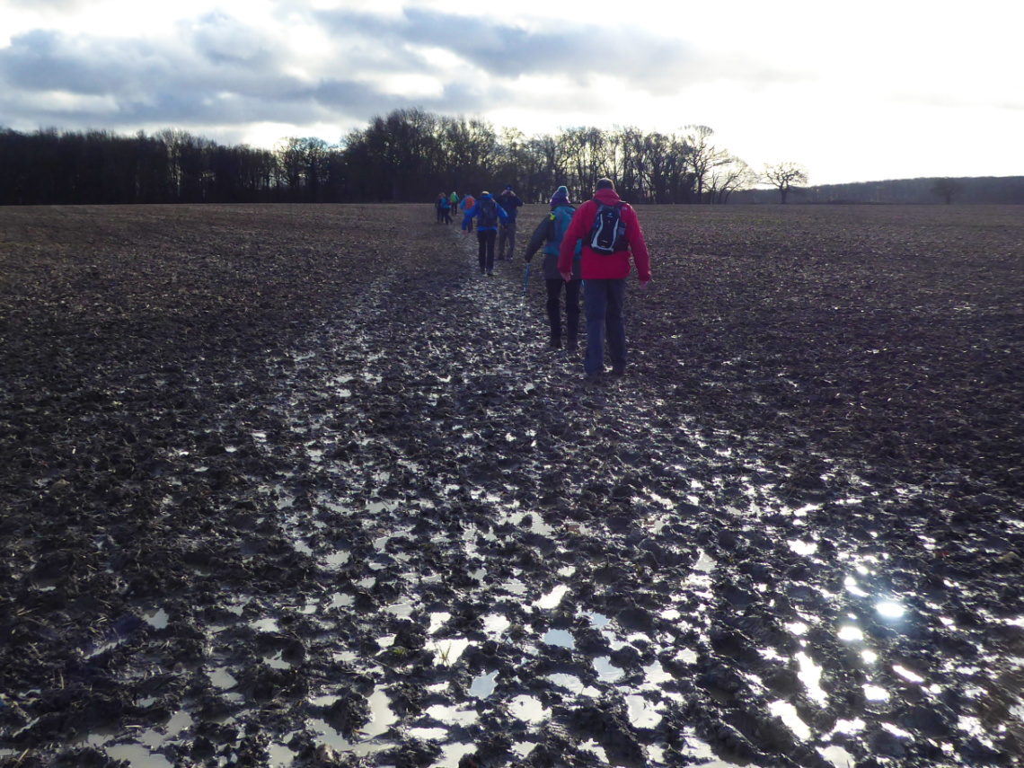 It can’t be a TSE walk without lots of mud. It is a rule!