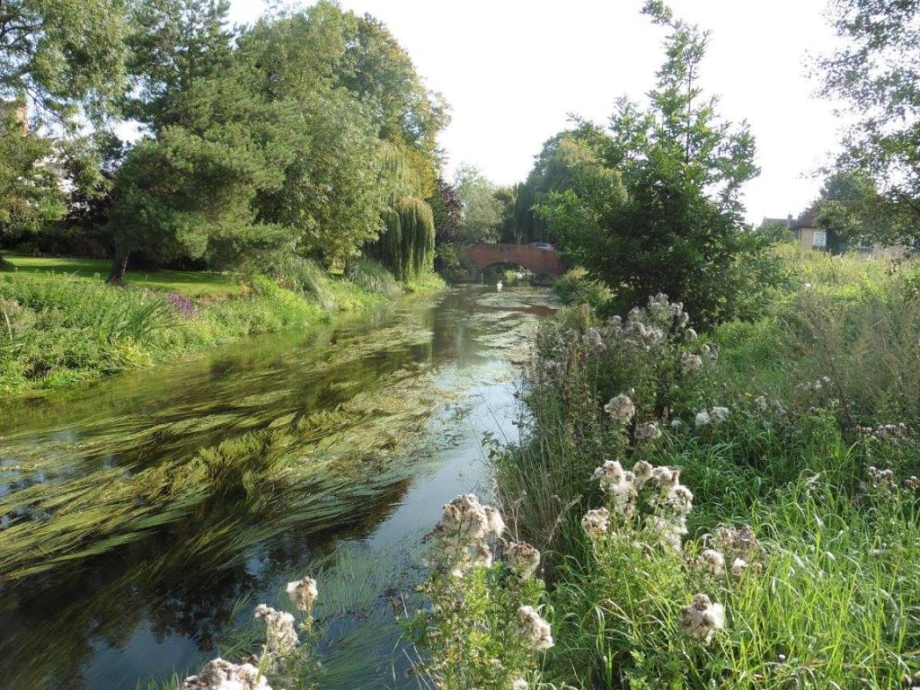 Approaching Fordwich on the lower path