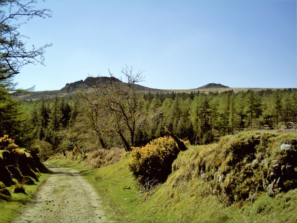 Leather Tor and Sharpitor from the lane