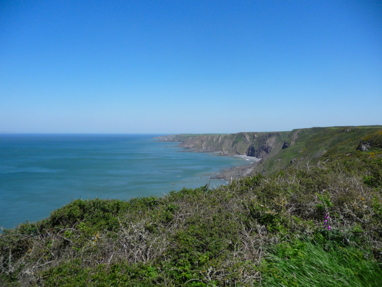 Looking back along the cliffs to Hartland Quay