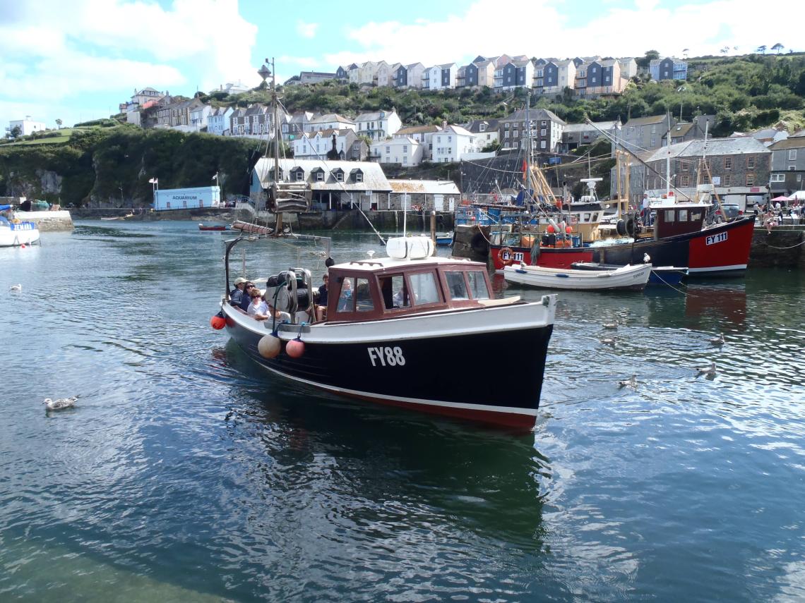 Mevagissey Harbour Boats