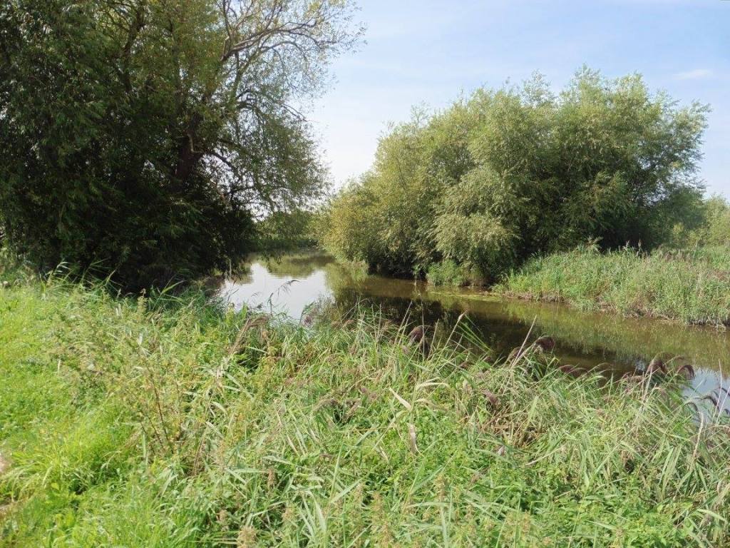The Great Stour at Stodmarsh Nature Reserve