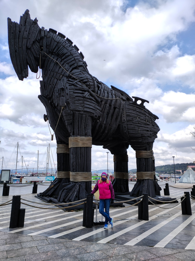 The Wooden Horse prop from the movie Troy