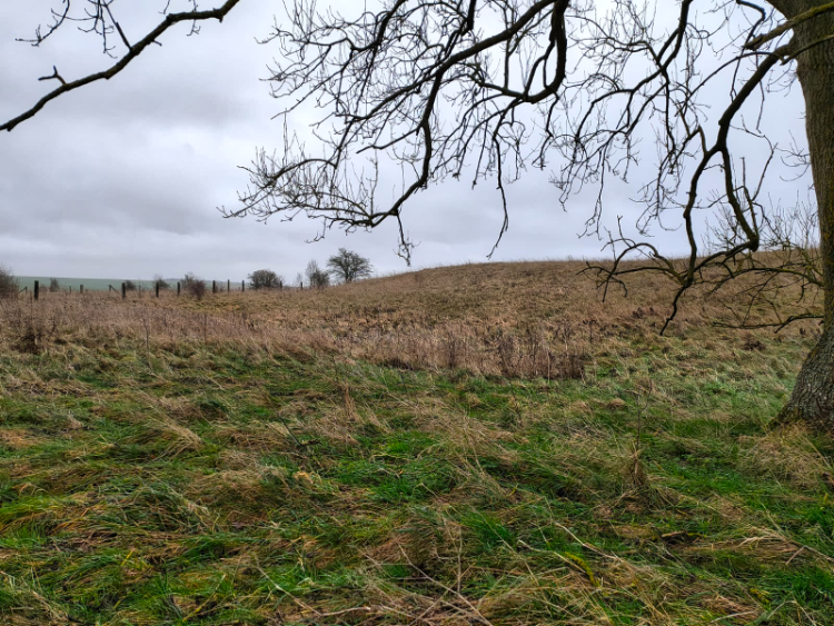 White Barrow Neolithic long barrow on Salisbury Plain